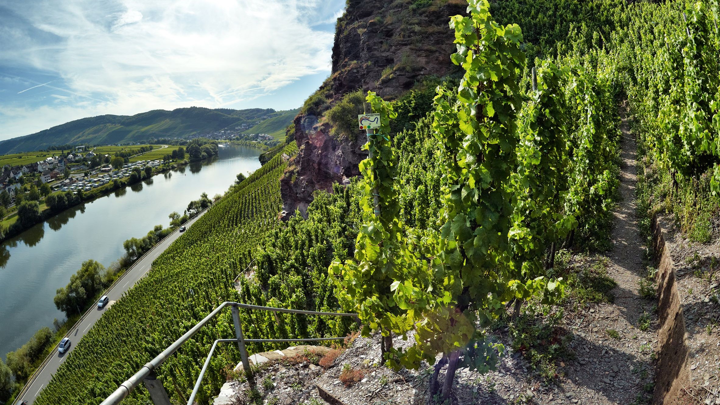 Mosel-Saar-Ruwer